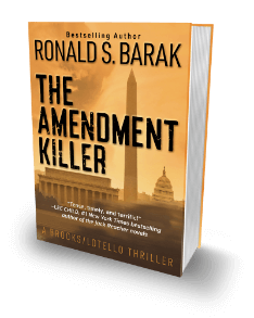 The Amendment Killer Book Cover